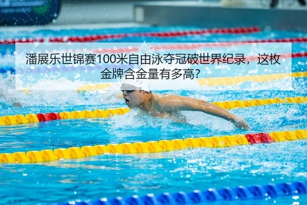 pan-zhan-le-shi-jin-sai-mi-zi-you-yong-duo-guan-po-shi-jie-ji-lu-zhe-mei-jin-pai-han-jin-liang-you-duo-gao-3-249.jpg